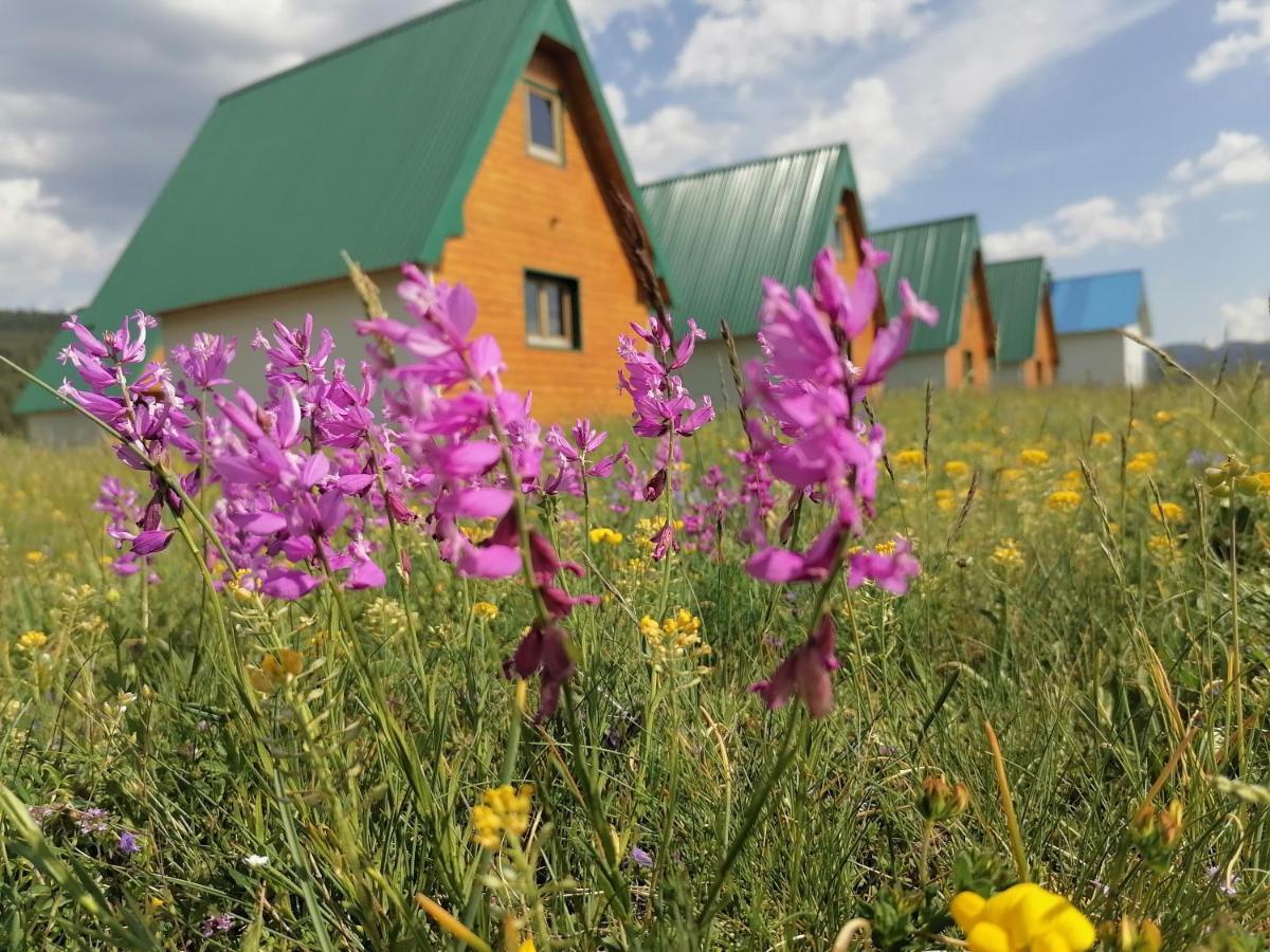 Bungalovi Tim Žabljak Esterno foto