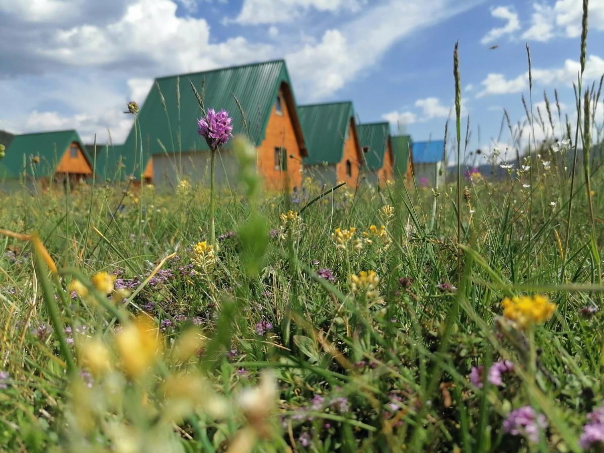 Bungalovi Tim Žabljak Esterno foto